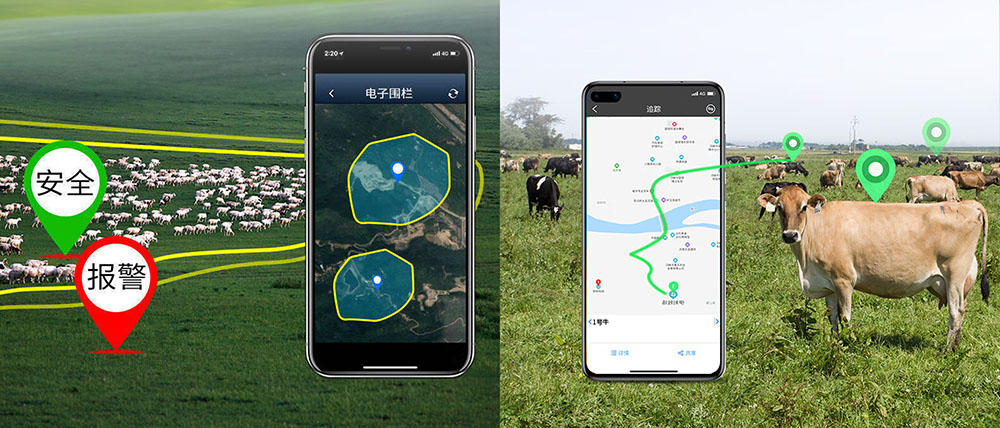牛羊定位器专用